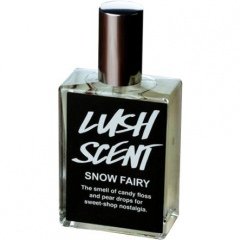 Snow Fairy